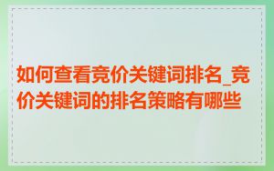 如何查看竞价关键词排名_竞价关键词的排名策略有哪些