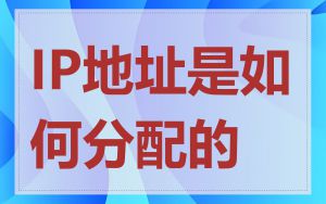 IP地址是如何分配的