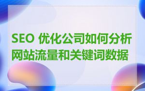 SEO 优化公司如何分析网站流量和关键词数据