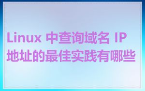 Linux 中查询域名 IP 地址的最佳实践有哪些