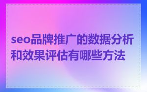 seo品牌推广的数据分析和效果评估有哪些方法