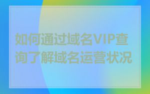 如何通过域名VIP查询了解域名运营状况