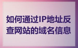如何通过IP地址反查网站的域名信息
