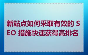 新站点如何采取有效的 SEO 措施快速获得高排名