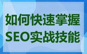 如何快速掌握SEO实战技能