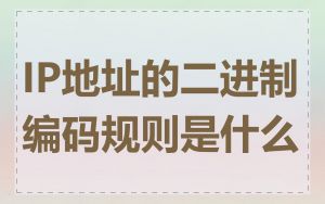 IP地址的二进制编码规则是什么