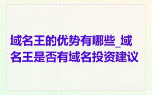 域名王的优势有哪些_域名王是否有域名投资建议