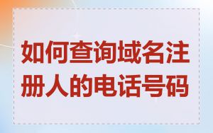 如何查询域名注册人的电话号码