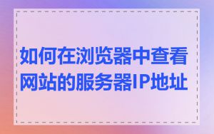 如何在浏览器中查看网站的服务器IP地址