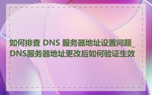 如何排查 DNS 服务器地址设置问题_DNS服务器地址更改后如何验证生效