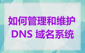 如何管理和维护 DNS 域名系统