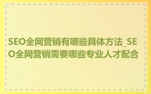SEO全网营销有哪些具体方法_SEO全网营销需要哪些专业人才配合