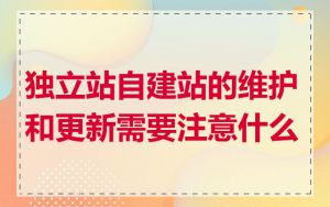 独立站自建站的维护和更新需要注意什么