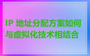 IP 地址分配方案如何与虚拟化技术相结合