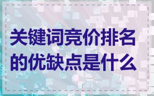 关键词竞价排名的优缺点是什么