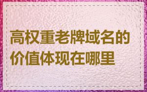 高权重老牌域名的价值体现在哪里
