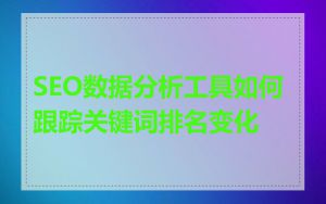 SEO数据分析工具如何跟踪关键词排名变化