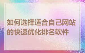 如何选择适合自己网站的快速优化排名软件