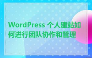 WordPress 个人建站如何进行团队协作和管理