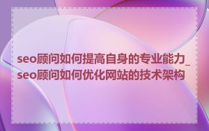 seo顾问如何提高自身的专业能力_seo顾问如何优化网站的技术架构