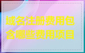 域名注册费用包含哪些费用项目