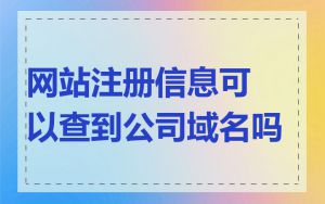 网站注册信息可以查到公司域名吗