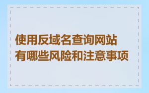 使用反域名查询网站有哪些风险和注意事项