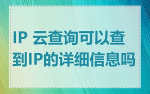 IP 云查询可以查到IP的详细信息吗