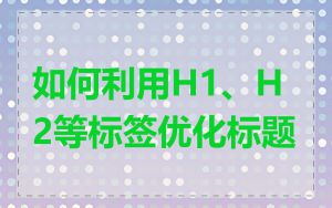 如何利用H1、H2等标签优化标题