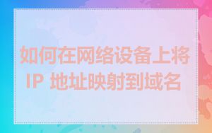 如何在网络设备上将 IP 地址映射到域名