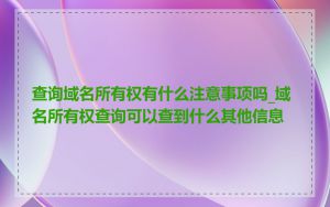 查询域名所有权有什么注意事项吗_域名所有权查询可以查到什么其他信息
