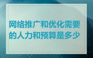 网络推广和优化需要的人力和预算是多少