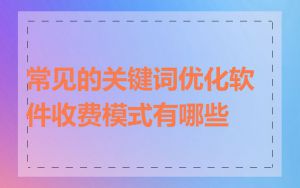 常见的关键词优化软件收费模式有哪些