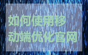 如何使用移动端优化官网