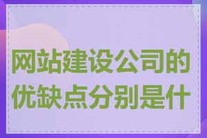 网站建设公司的优缺点分别是什么