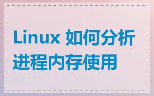 Linux 如何分析进程内存使用