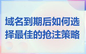域名到期后如何选择最佳的抢注策略