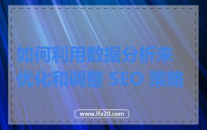 如何利用数据分析来优化和调整 SEO 策略