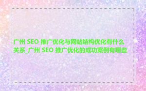 广州 SEO 推广优化与网站结构优化有什么关系_广州 SEO 推广优化的成功案例有哪些