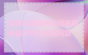 如何诊断和解决域名服务器(DNS)性能问题