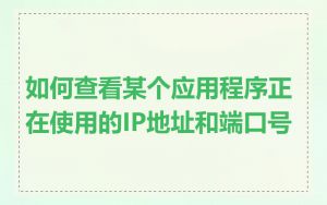 如何查看某个应用程序正在使用的IP地址和端口号