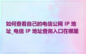 如何查看自己的电信公网 IP 地址_电信 IP 地址查询入口在哪里