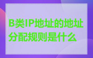 B类IP地址的地址分配规则是什么