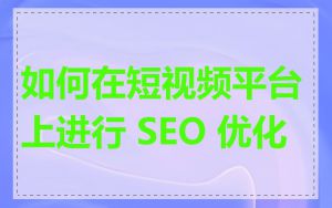 如何在短视频平台上进行 SEO 优化