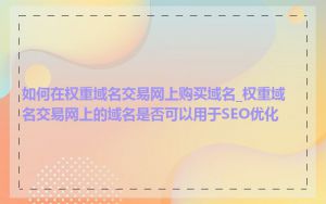 如何在权重域名交易网上购买域名_权重域名交易网上的域名是否可以用于SEO优化