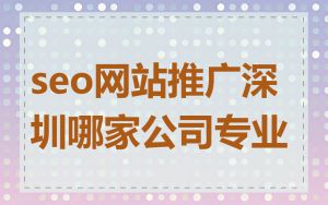 seo网站推广深圳哪家公司专业