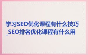 学习SEO优化课程有什么技巧_SEO排名优化课程有什么用