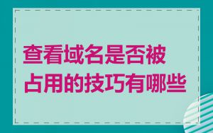 查看域名是否被占用的技巧有哪些