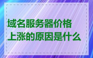 域名服务器价格上涨的原因是什么