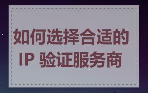 如何选择合适的 IP 验证服务商